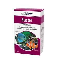 LABCON BACTER - 10 CÁPSULAS