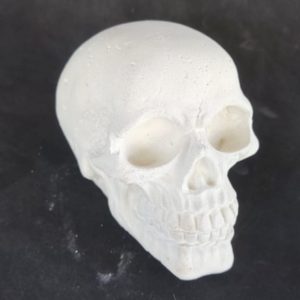 Base para Corais Crânio Bruto (Zoanthus, Palithoas e corais rasteiros)