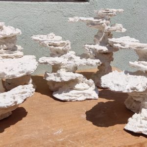 Rochas Orgânicas para Layout Marinho