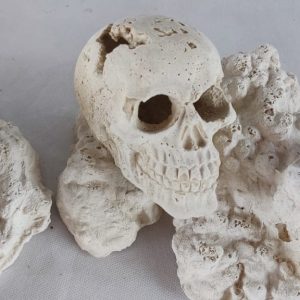 Base para Corais Crânio Ôco (Zoanthus, Palithoas e corais rasteiros)